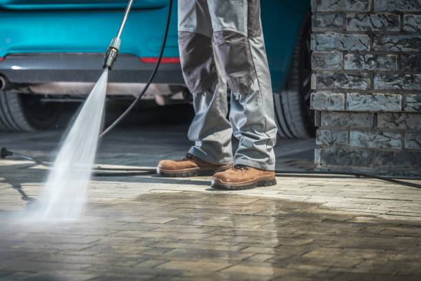 Best Roof Washing  in Home Garden, CA